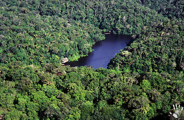Национальный парк Жау (Бразилия)